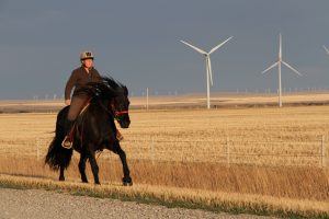 Heidi Eijgel courageously headed into the lion's den of rural Ontario to speak about her positive experiences living next to a 136 megawatt wind farm in southern Alberta.