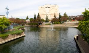 The well-known Festival Theatre in Sherwood Park is one of many public buildings and private condos that are heated by a biomass and natural gas district heating system.