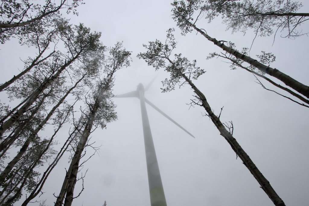 A turbine rises from the mist on a cloudy day as trees frame it at the Bear Mountain Wind Park which overlooks Dawson Creek.