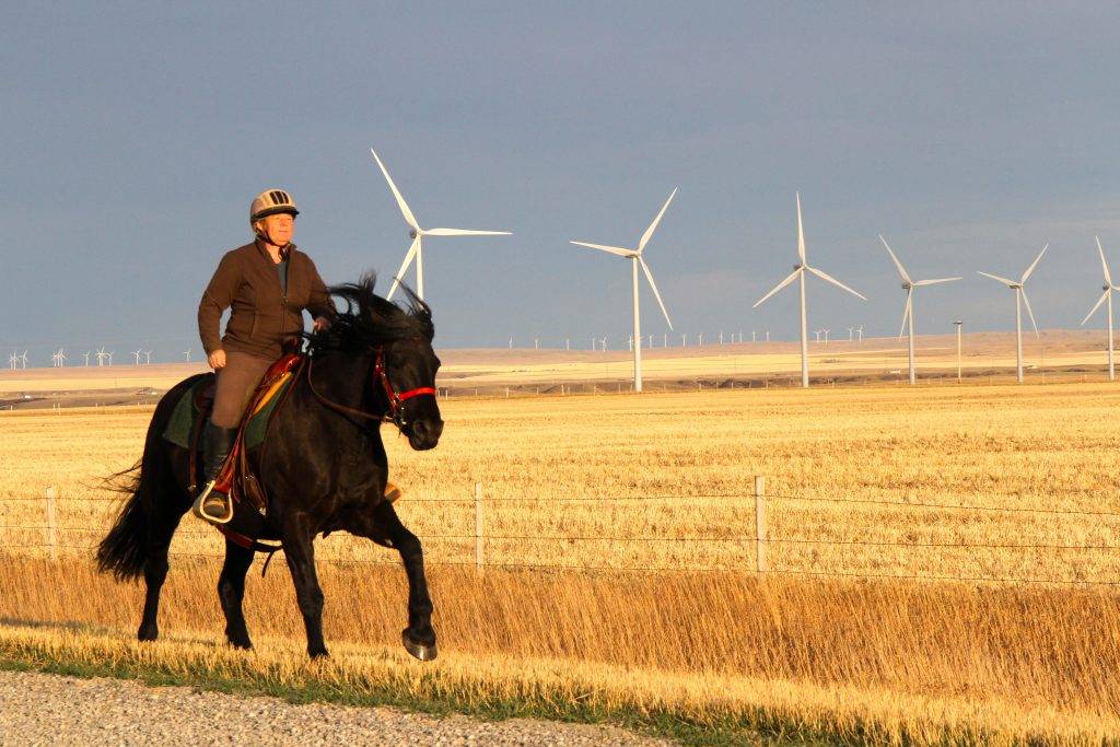 Heidi Eijgel, rides her horse Luna, past the turbines of Summerview wind farm.